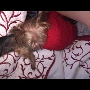 Meet your Posher, Flor